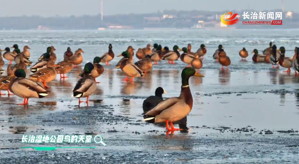 ����ʪ�� �������