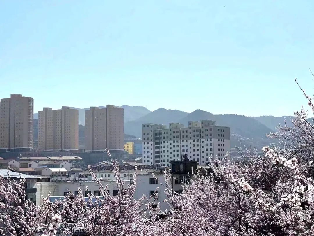 ͼ˵����ح�һ���ɽ��