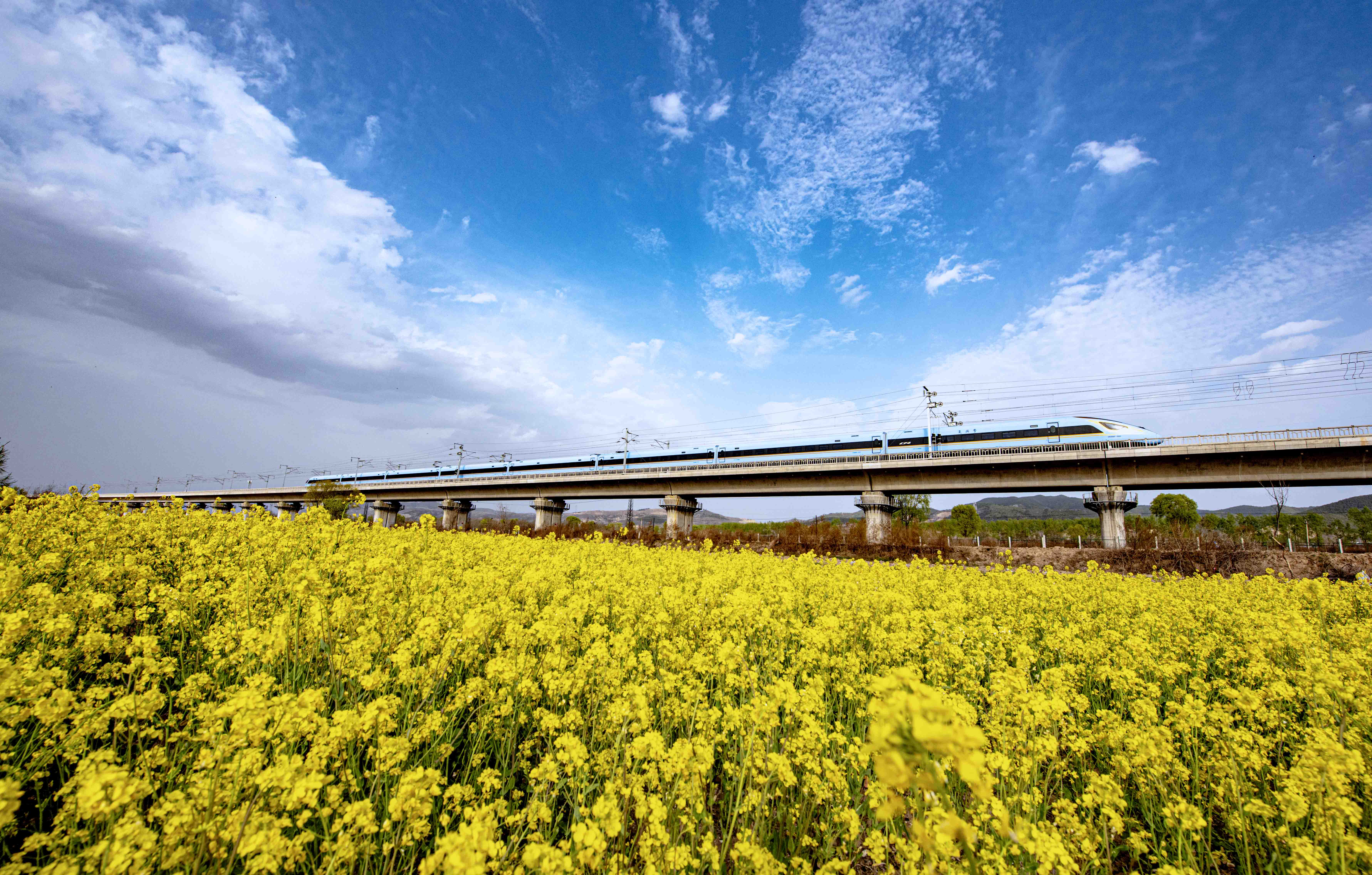 ͼ˵����ح����������г�