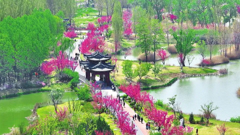 ͼ˵����حӣ��ŭ�� ��ɫ����