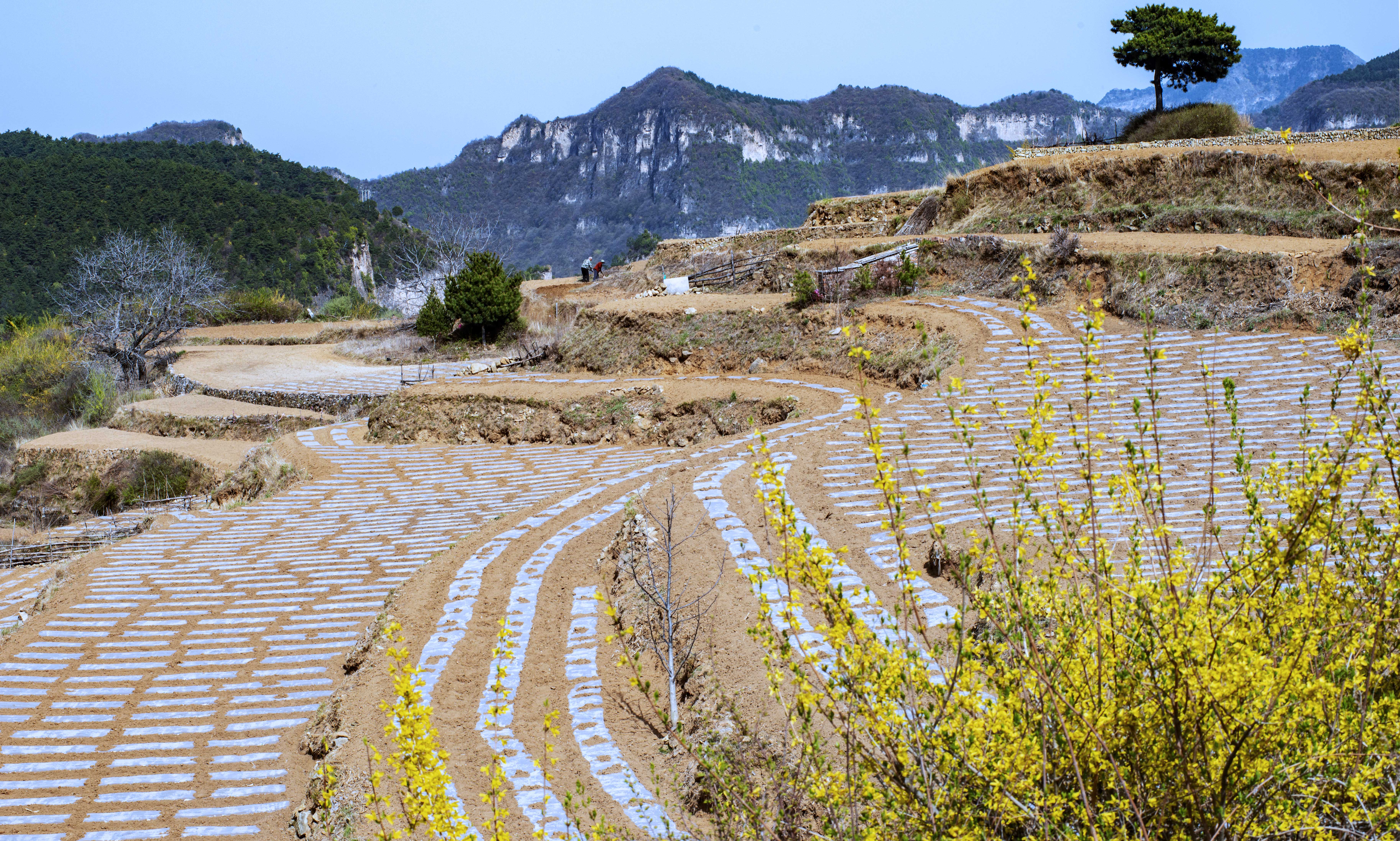 ͼ˵����ح���ڴ�����