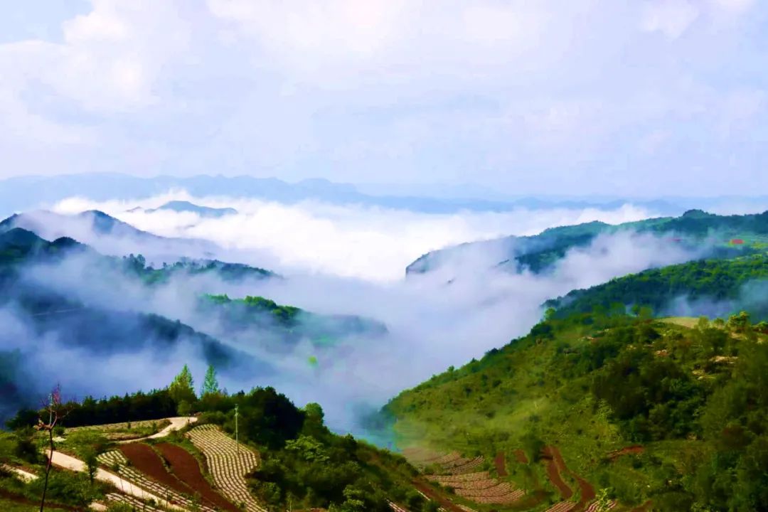 ͼ˵����ح������ɽ���ɾ�