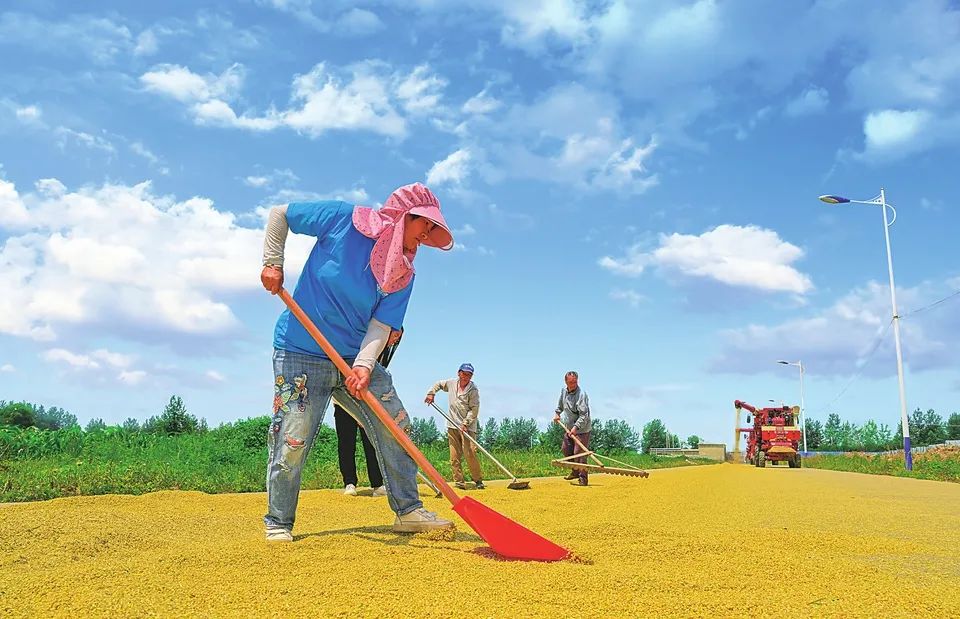 ͼ˵����ح��������ջ�æ