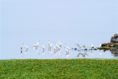 1��̬���� ��������.jpg