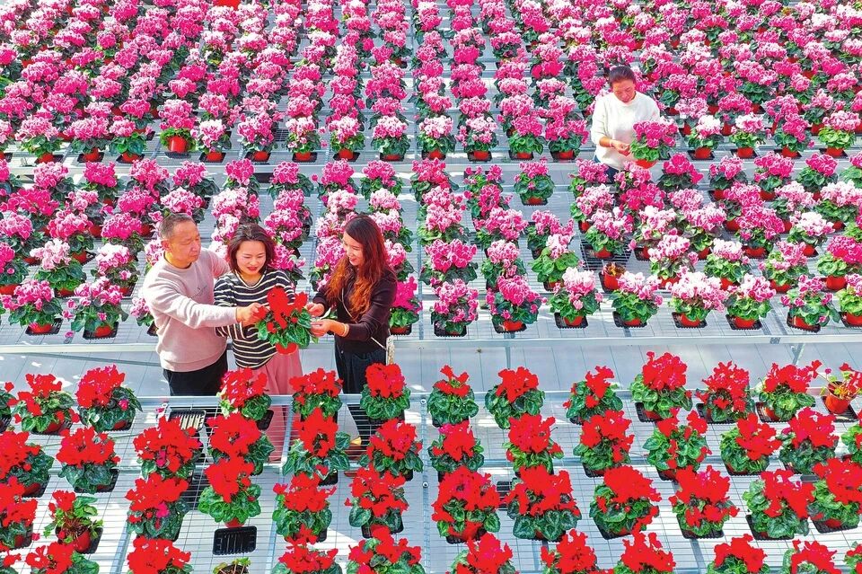 ͼ˵����ح��������ʻ���