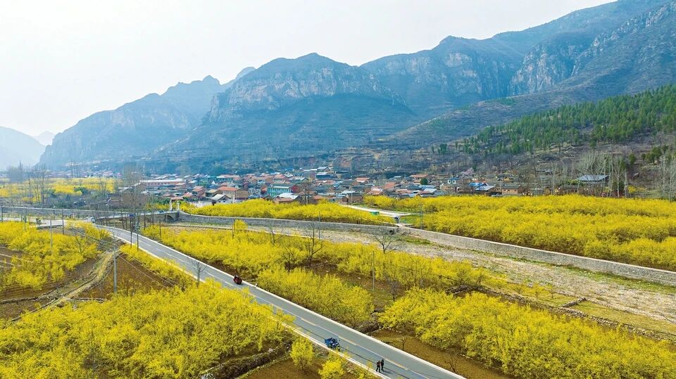 ͼ˵����ح�������� ��������ʱ